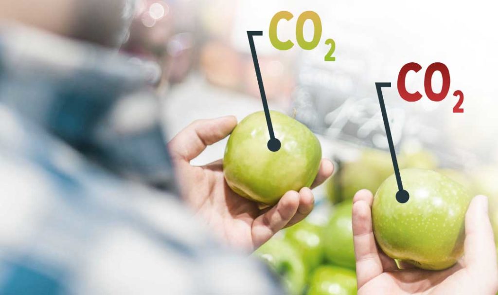 CO2Bilanz Am Beispiel Eines Apfels Benergie Bremer